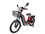 Ayudar al uso familiar de la bicicleta eléctrica híbrida