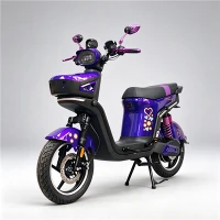 Motocicleta eléctrica directa de fábrica de 1500 W con almacenamiento frontal cerrado